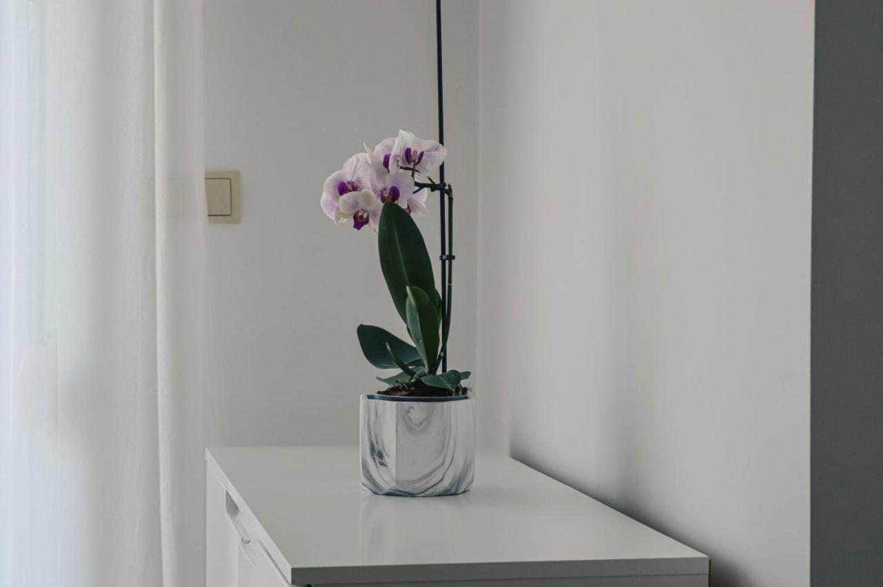 Apartment Valentina Zadar Exterior photo